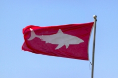 Haiwarnung in Muizenberg