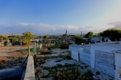 Township Lavender Hill
